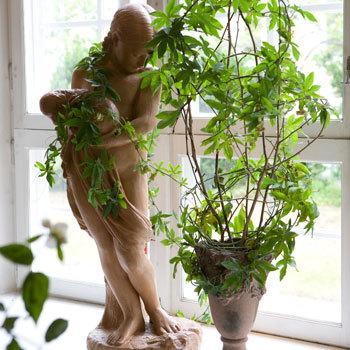 Villa Soederas Vaxholm Zewnętrze zdjęcie